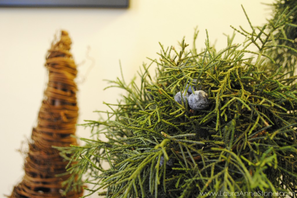 2013 Holiday Dining Room - juniper topiary spheres - LauraAnneStone.com