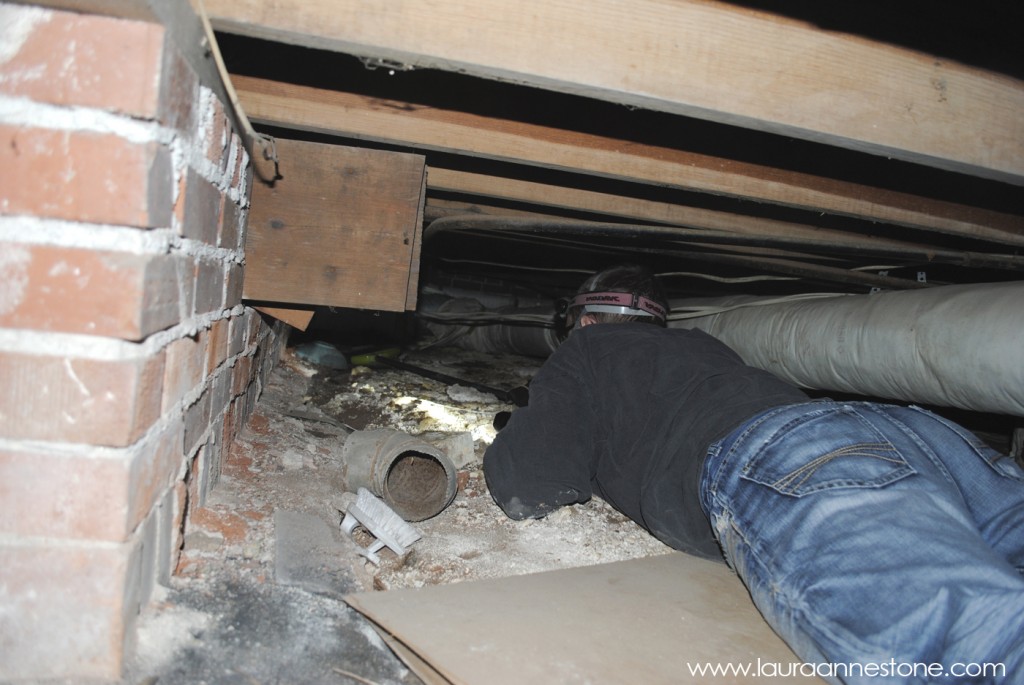 Exploring the crawlspace - LauraAnneStone.com