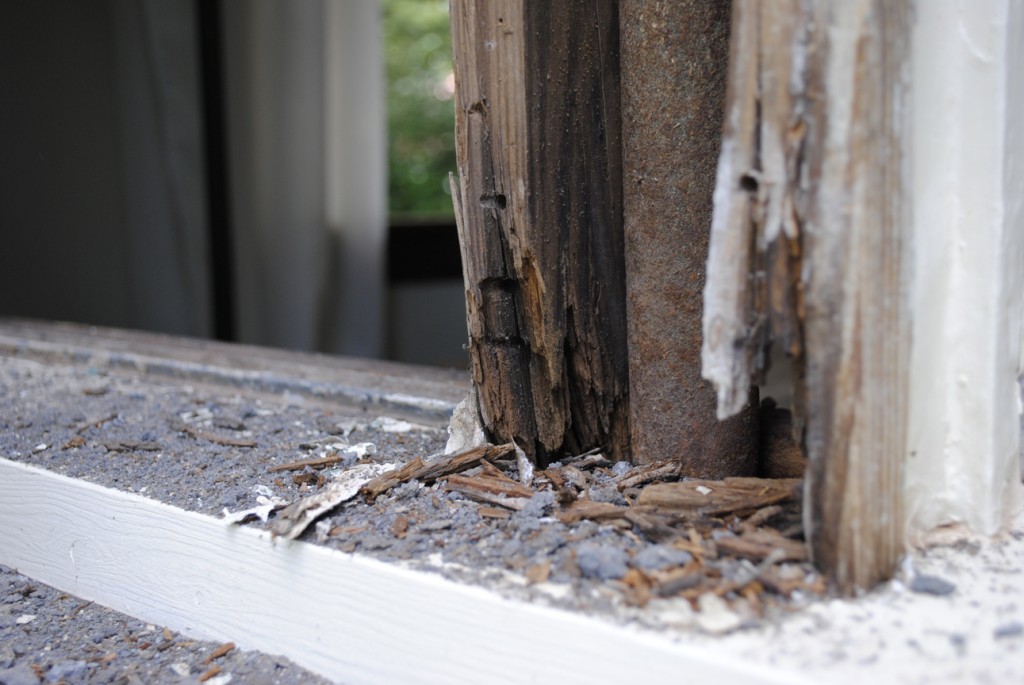 Antique Window Restoration - www.LauraAnneStone.com